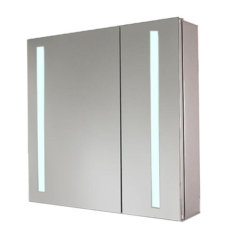 Latitude Run® Lawhorn Recessed or Surface Mount Frameless 2 Door